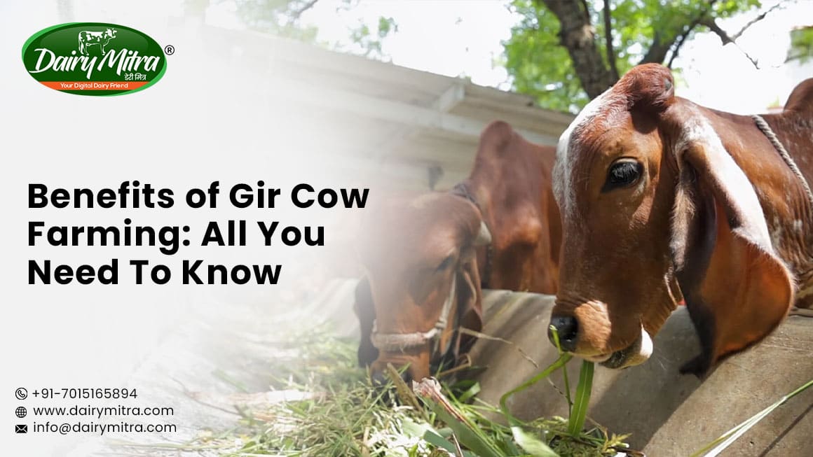 Benefits of Gir Cow Farming